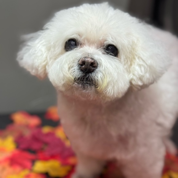 My Story... What Makes My World Go 'Round! - Picture 5 of 9